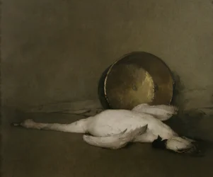 Le cygne sauvage