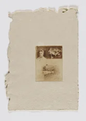 Three Studios (portefeuille fm.)