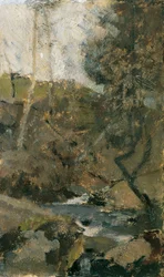 Ruisseau dans la forêt viennoise