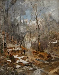 Ambiance de février - Pré-printemps dans la forêt viennoise