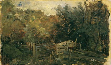 Étude de la nature à Goisern