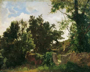 Mur du château à Plankenberg