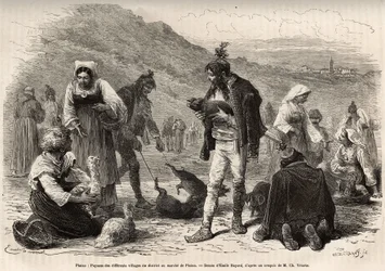 Les paysans des environs de Pisino (Croatie), se rassemblent pour la vente de leurs produits agricoles sur le marché : volaille, porcelets..., gravure d