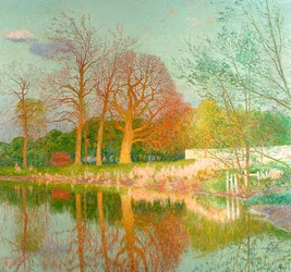 Châtaignier au soleil du soir