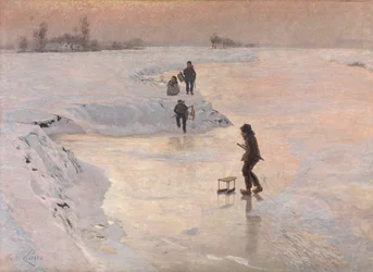 Les martins-pêcheurs