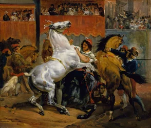 Le départ de la course des chevaux sans cavalier