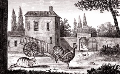 Le coq, le chat et la souris, Fable de La Fontaine