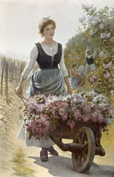 La recolte des fleurs