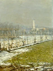 Paysage. Soleil d