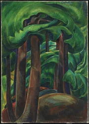 Forêt occidentale