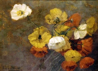 Coquelicots, vers 1886