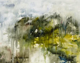 Forêt verte brumeuse