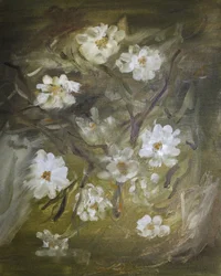Fleurs blanches délicates