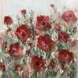 Champ de coquelicots rouges