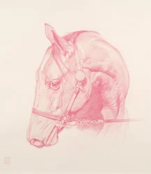 Tête de portrait, 2010