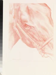 Tête de portrait, 2012