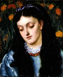 La Belle Jaune Giroflée