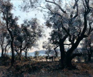 Oliviers autour du Cap Martin, 1891