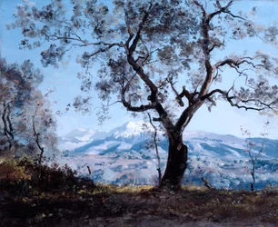 La région autour de Menton, près de Roquebrune