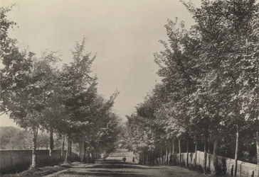 Aldeburgh, Westfields Avenue (photo n/b)
