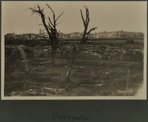Dixmude, vers 1916-19