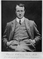 Edward A. Wilson, vers 1910