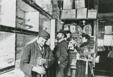 Animalerie de Great Portland Street