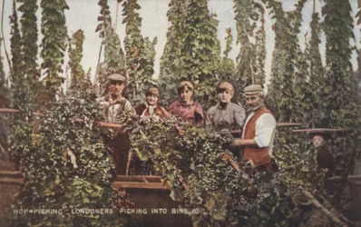 Cueilleurs de houblon (photo en couleur)