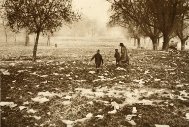 Herbe jonchée de détritus sur Hampstead Heath le lendemain d