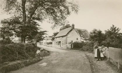 Rue à Uffington