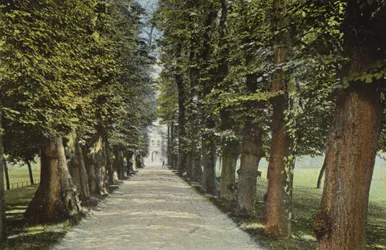 Collège Trinity, l