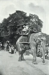 Jardins zoologiques, enfants montant sur les éléphants