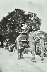 Jardins zoologiques, Regents Park : promenades à dos d