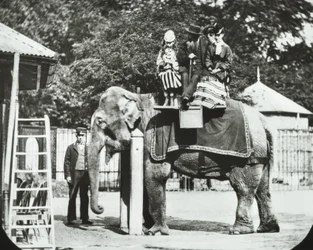 Jardins zoologiques, Regents Park : éléphant avec adultes et enfants en promenade, Zoo de Londres, 1894
