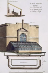 Une serre chaude exécutée pour son Altesse le Duc de Bedford à Woburn Abbey, 1806