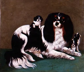 Une famille de King Charles Spaniel, école provinciale