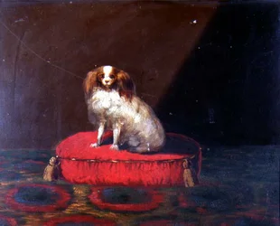 Un épagneul King Charles sur un coussin rouge, école provinciale