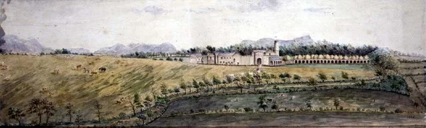 Vue en Inde