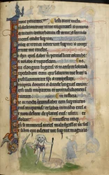 Un blemmyae, pied de folio du 