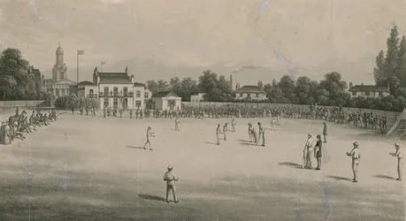 Un match de cricket