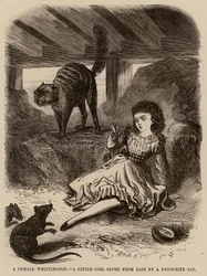 Une Whittington féminine, une petite fille sauvée des rats par un chat favori