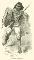 Fantassin abyssinien