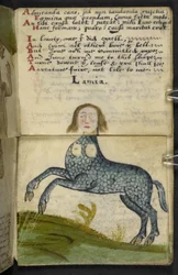 Livre de chasse