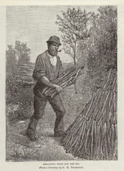 Disposition du bois pour la fosse