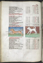 Canis major et Canis minor représentés comme des chiens, 