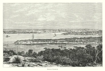 Australie : port de Sydney (gravure)