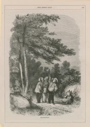 Nidification des oiseaux