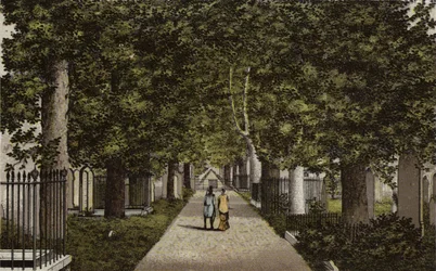 Birmingham : Avenue Harborne