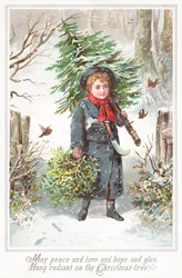 Garçon portant un sapin de Noël sur l