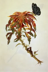 Papillon et chenilles sur une grande plante à fleurs